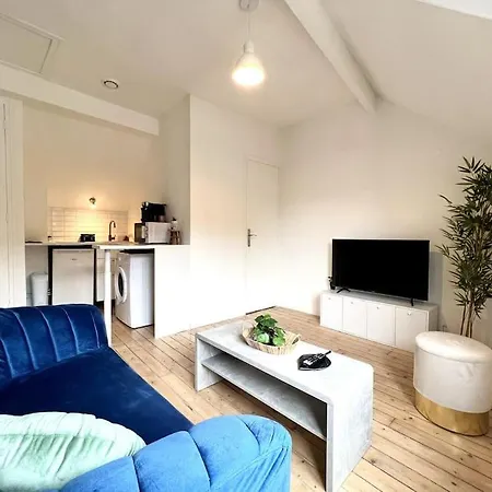 *le Cocon De Montigny* Apartament Montigny-sur-Loing