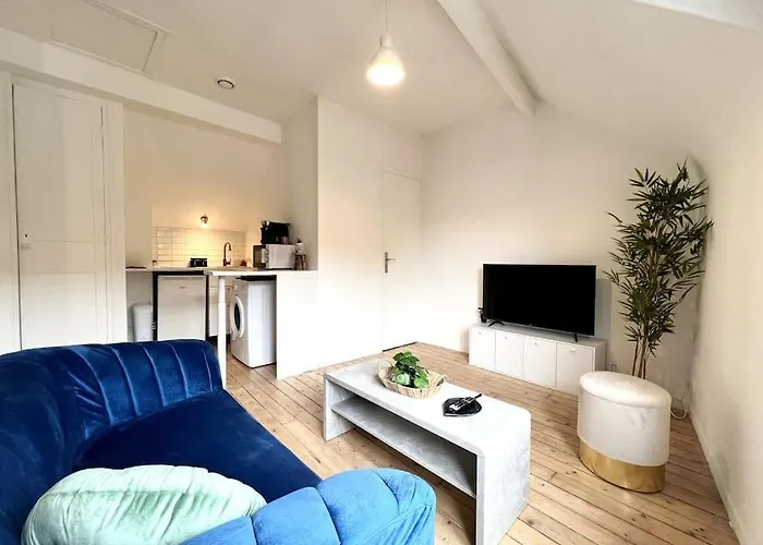 *le Cocon De Montigny* Апартаменты Montigny-sur-Loing